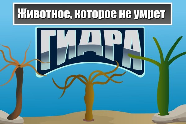 Что продают в кракен маркете