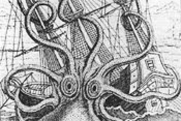 Kraken даркнет что это