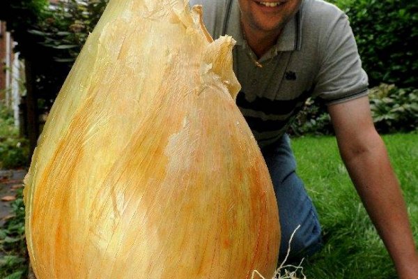Проверенная ссылка кракен
