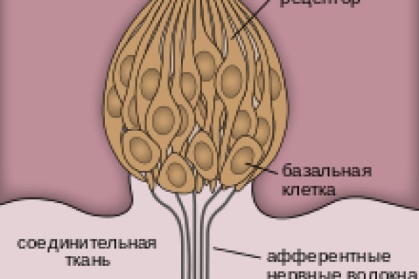 Кракен ссылка на сайт com