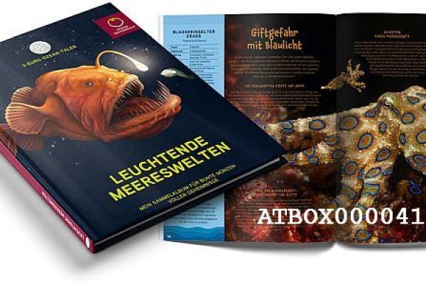 Как восстановить аккаунт на кракене даркнет