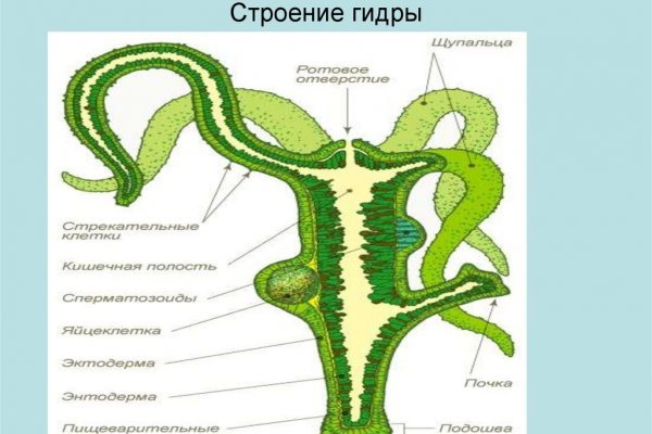 Кракен маркет онион