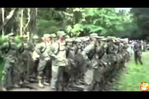 Где купить наркоты