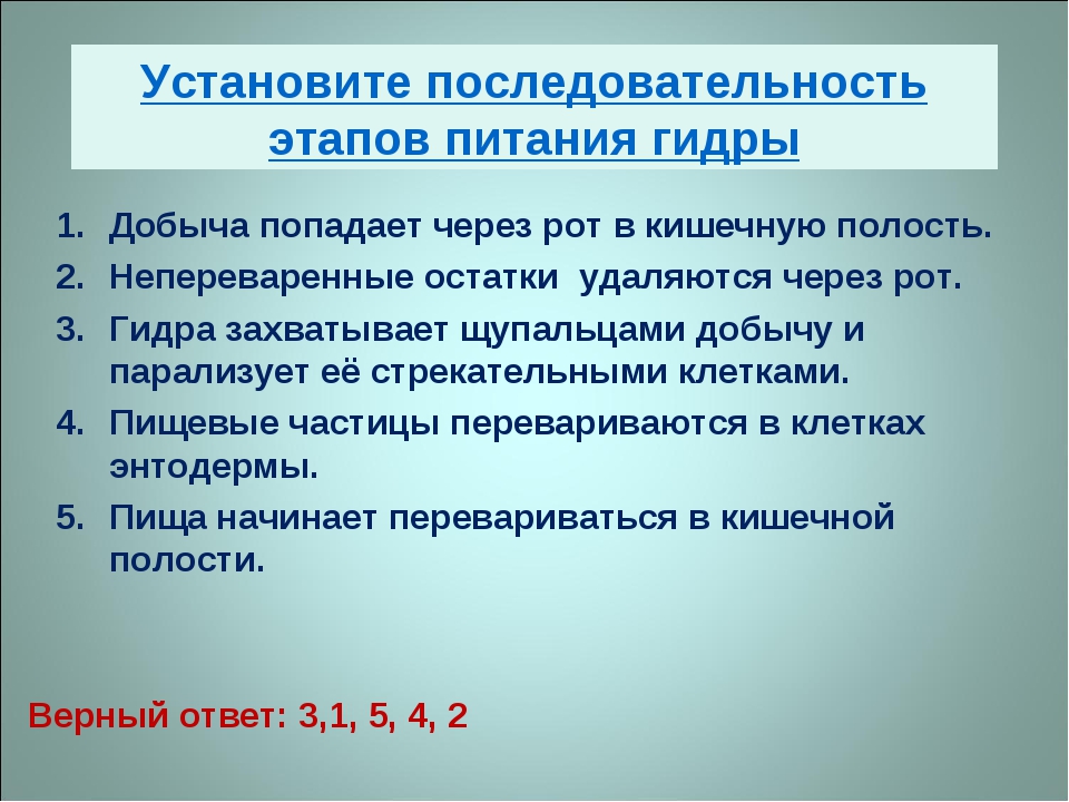 Можно вывести деньги с кракена